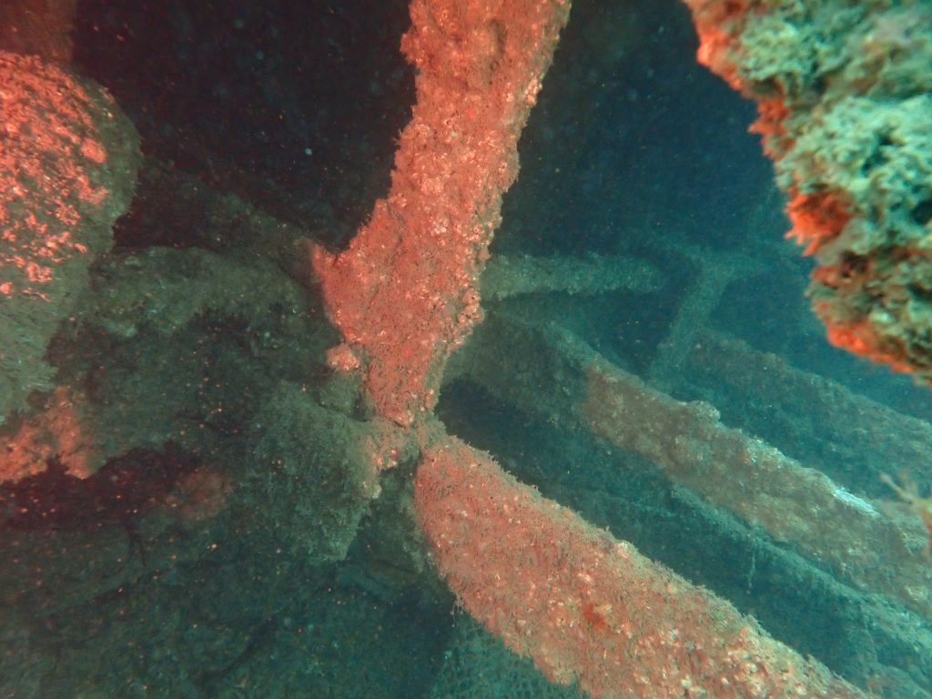P6090431